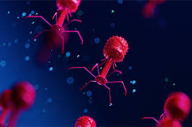 GREENPHAGE