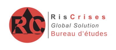 LOGO RISCRISES 2